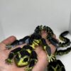 3D Printed Gekko / 3D Prinditud Gekko