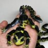 3D Printed Gekko / 3D Prinditud Gekko