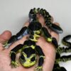 3D Printed Gekko / 3D Prinditud Gekko